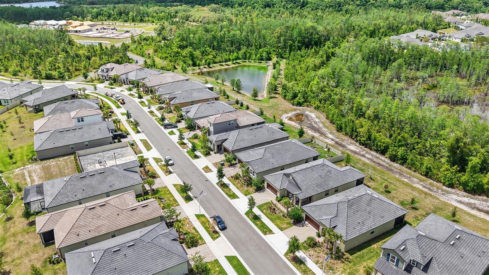 10395 BANYAN BREEZE BLVD, LAND O LAKES, FL, 34638
