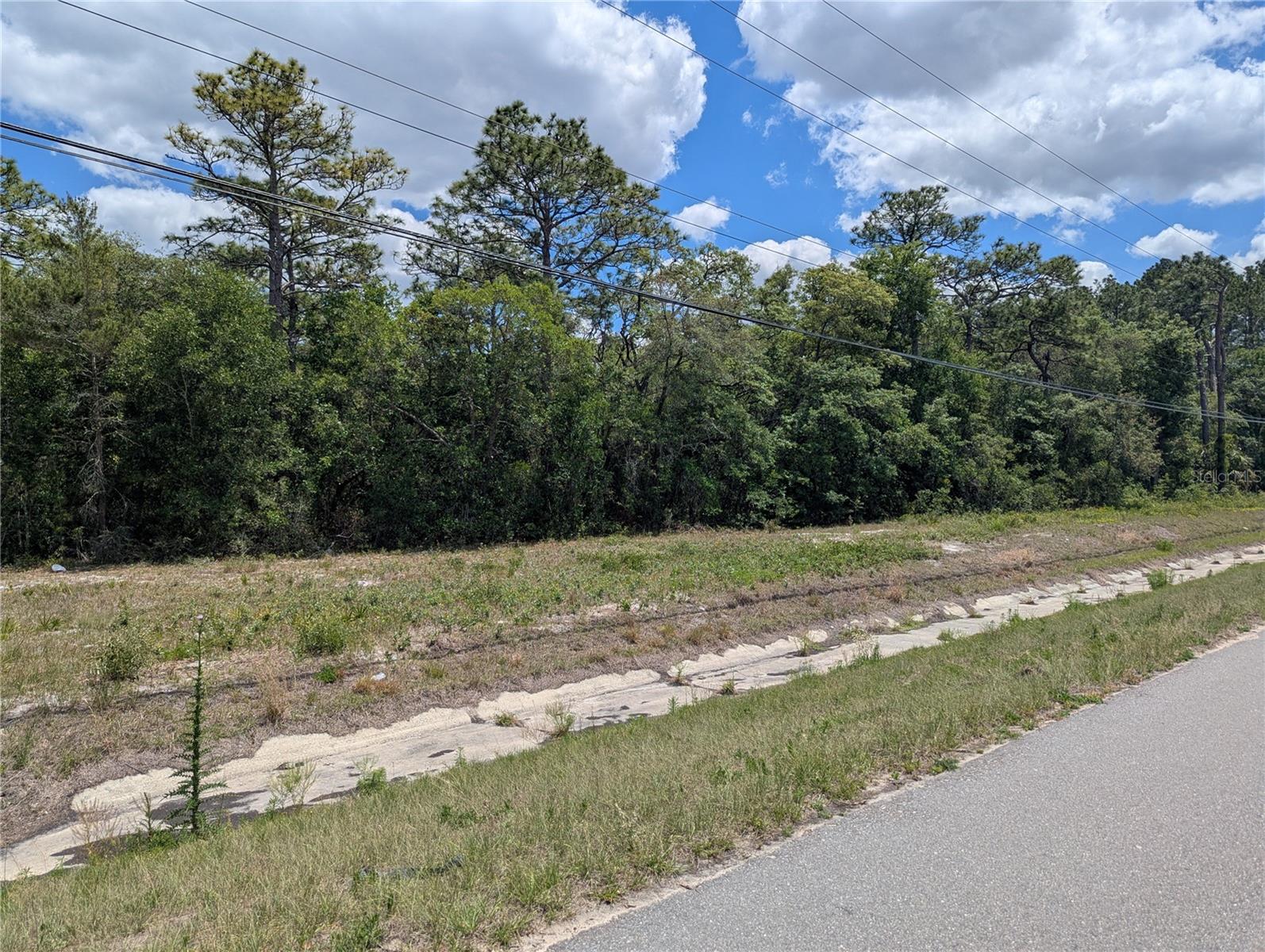 9269 S SUNCOAST BLVD, HOMOSASSA, FL, 34446