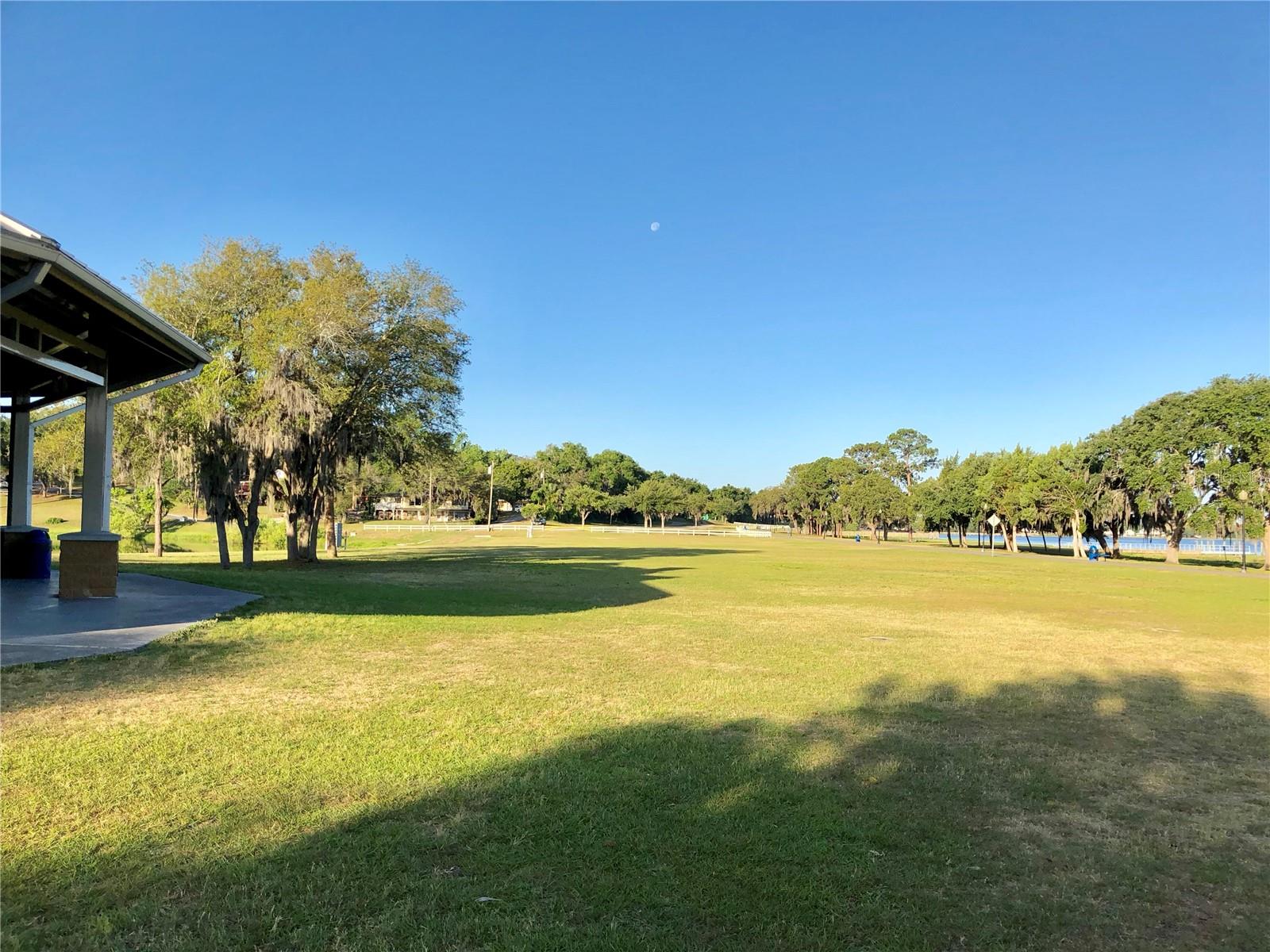 401 W SUMTER ST, MINNEOLA, FL, 34715