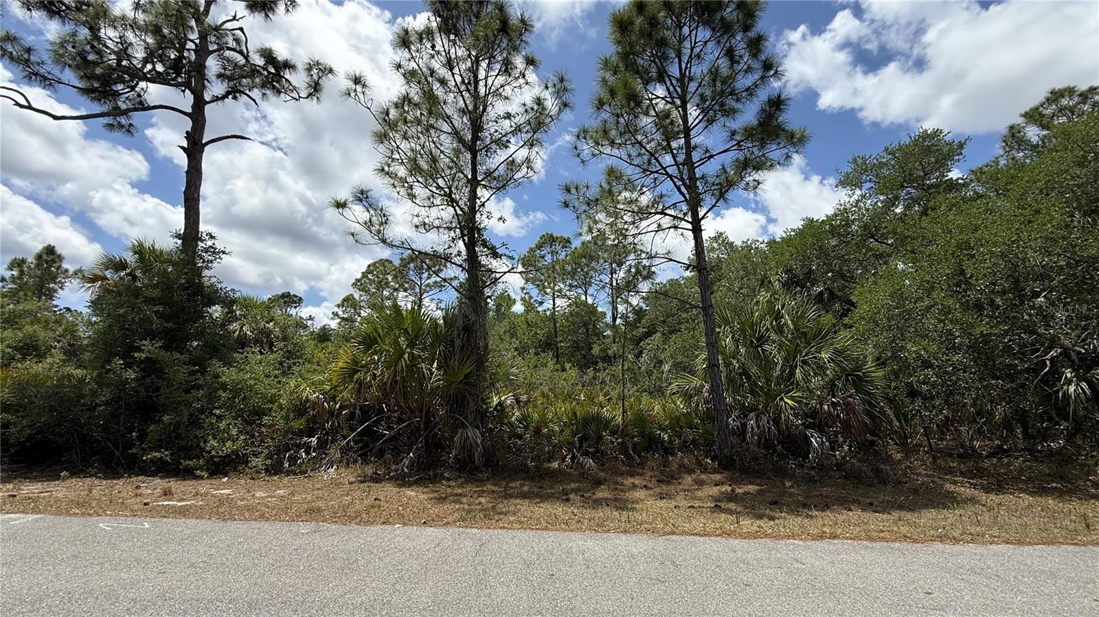 376 MUNOZ ST, PORT CHARLOTTE, FL, 33953