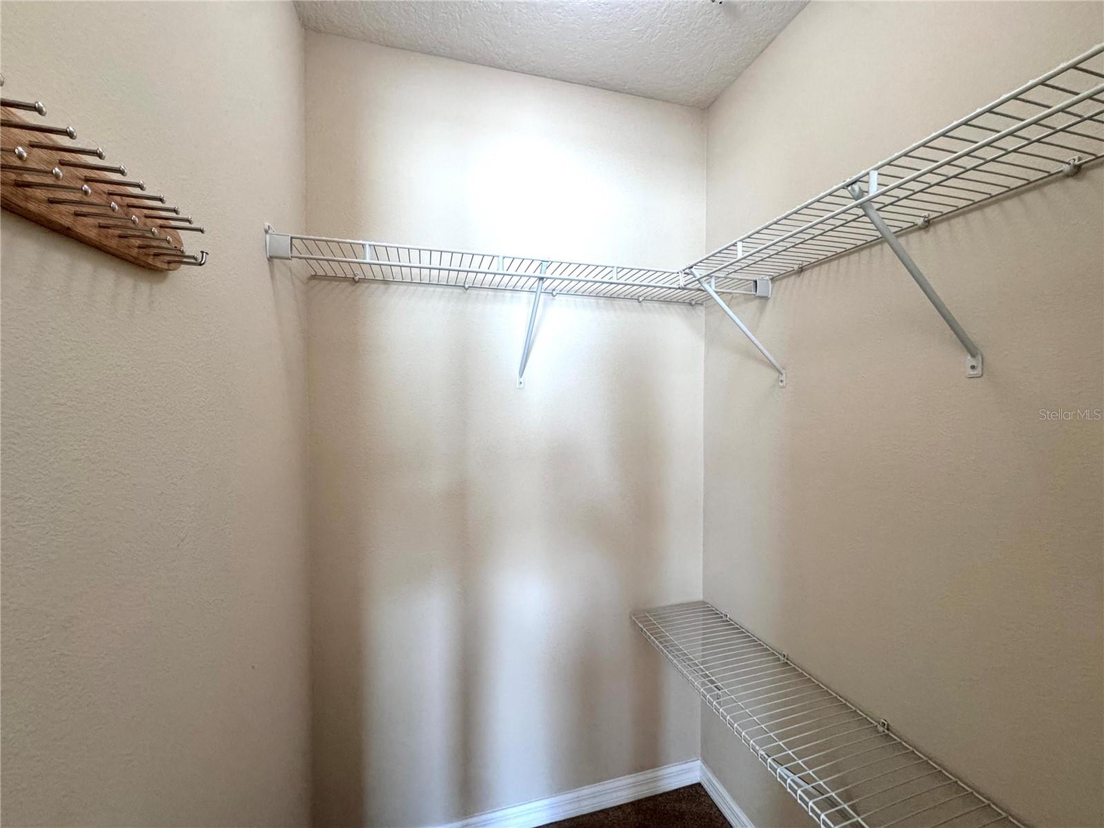 2168 LEATHER FERN DR, OCOEE, FL, 34761