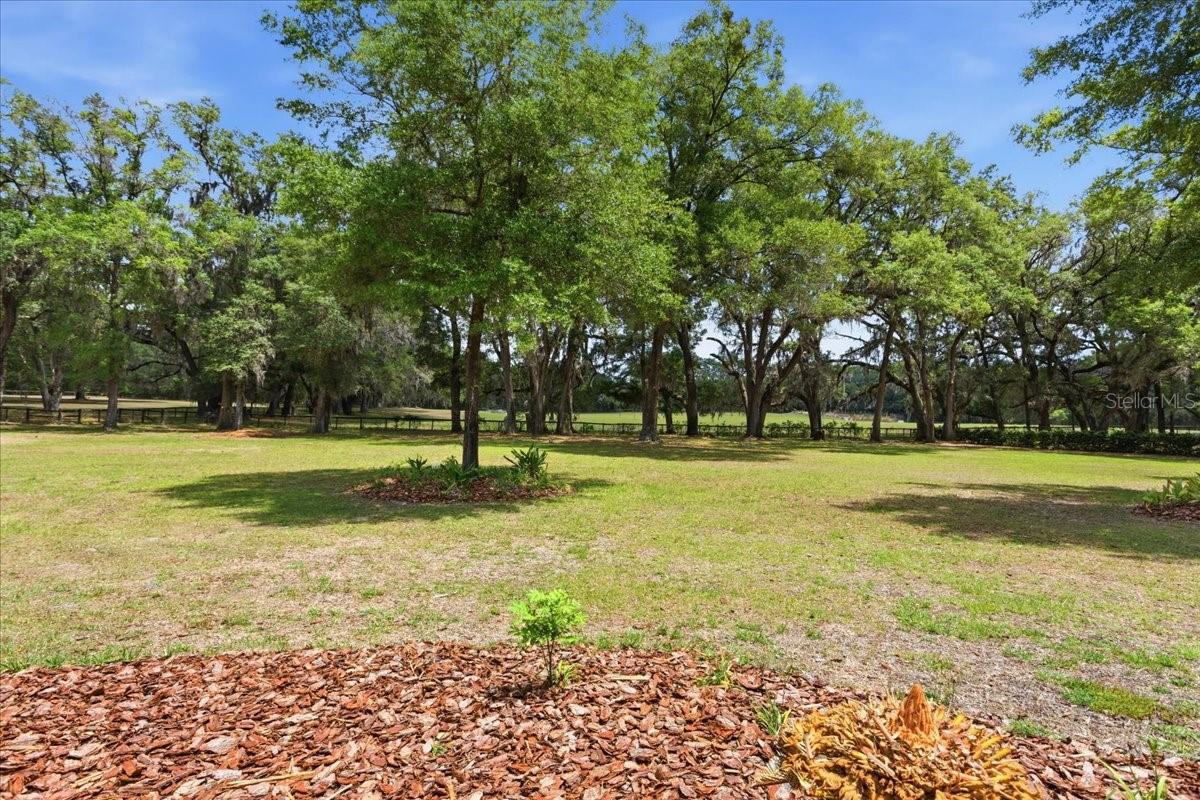 7369 NW 187TH TER, ALACHUA, FL, 32615