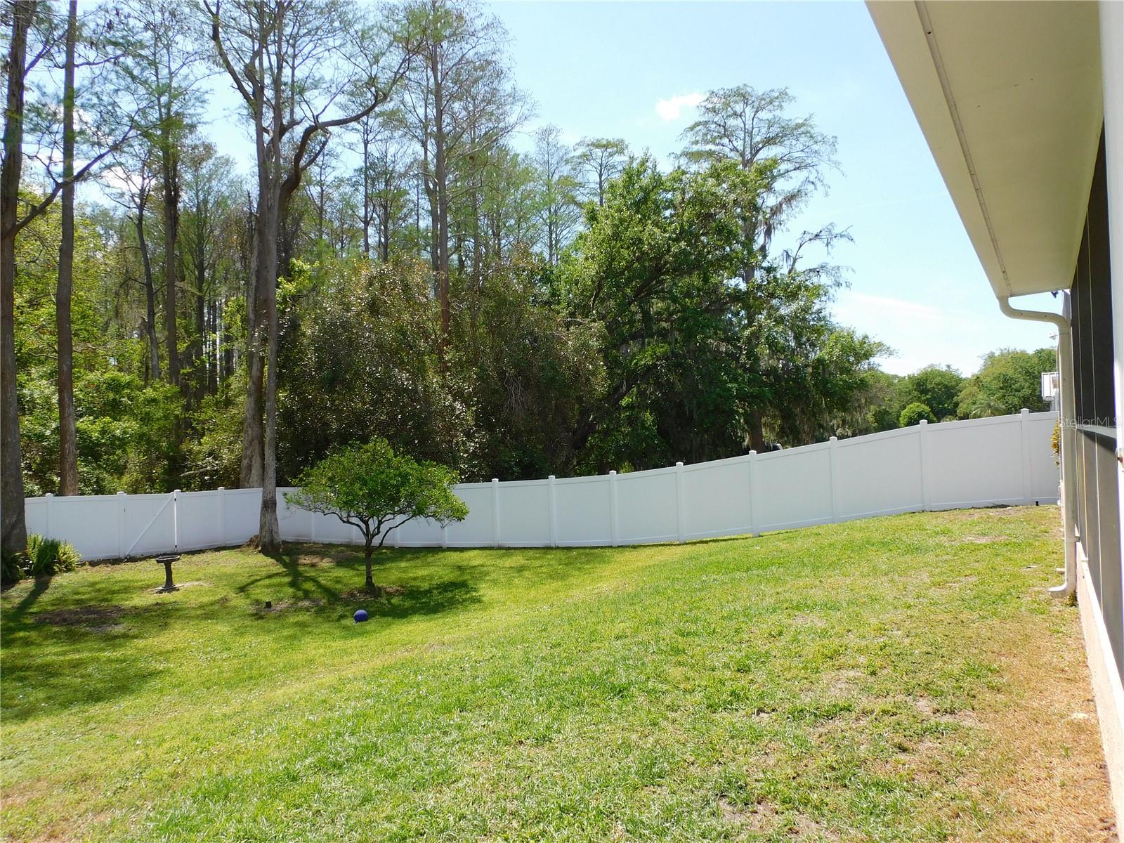 3128 JODI LN, PALM HARBOR, FL, 34684