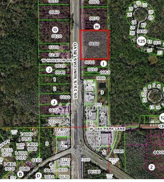 9161 S SUNCOAST BLVD, HOMOSASSA, FL, 34446