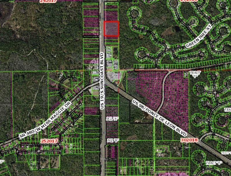 9161 S SUNCOAST BLVD, HOMOSASSA, FL, 34446