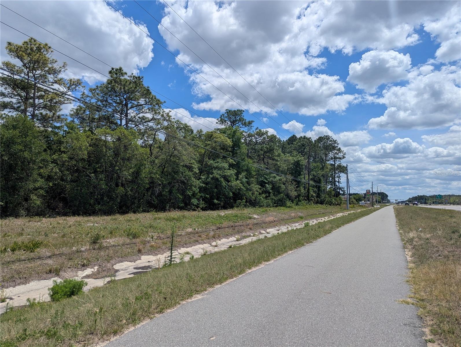 9161 S SUNCOAST BLVD, HOMOSASSA, FL, 34446