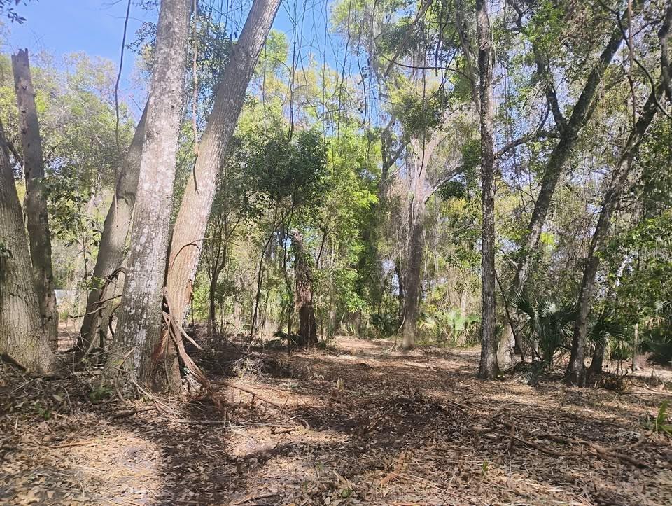 SPRING GARDEN RANCH, DE LEON SPRINGS, FL, 32130