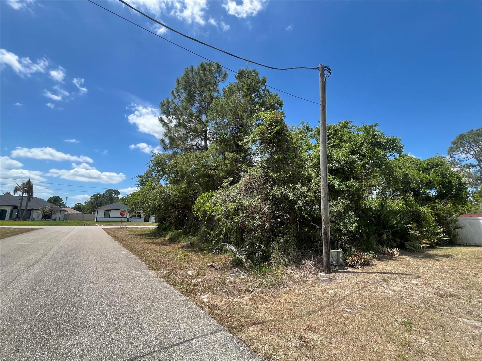 901 REPLICA AVE, SEBRING, FL, 33872