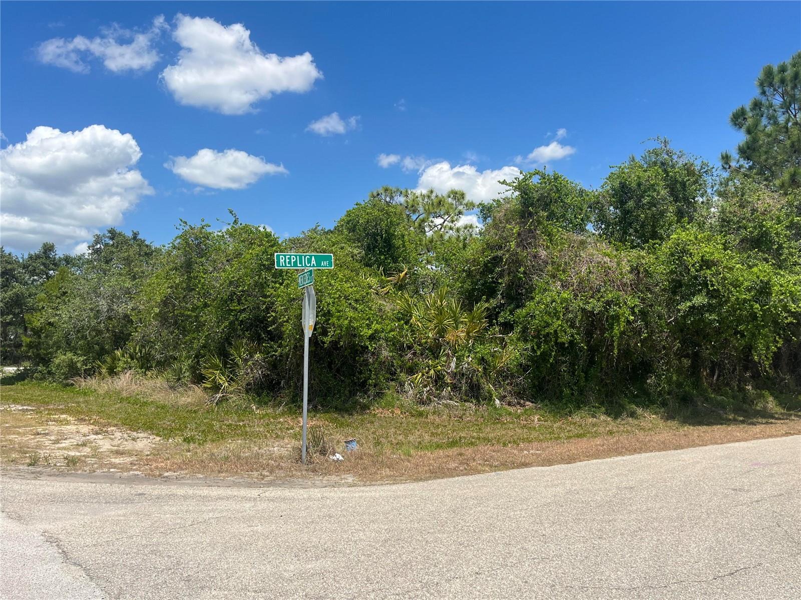 901 REPLICA AVE, SEBRING, FL, 33872