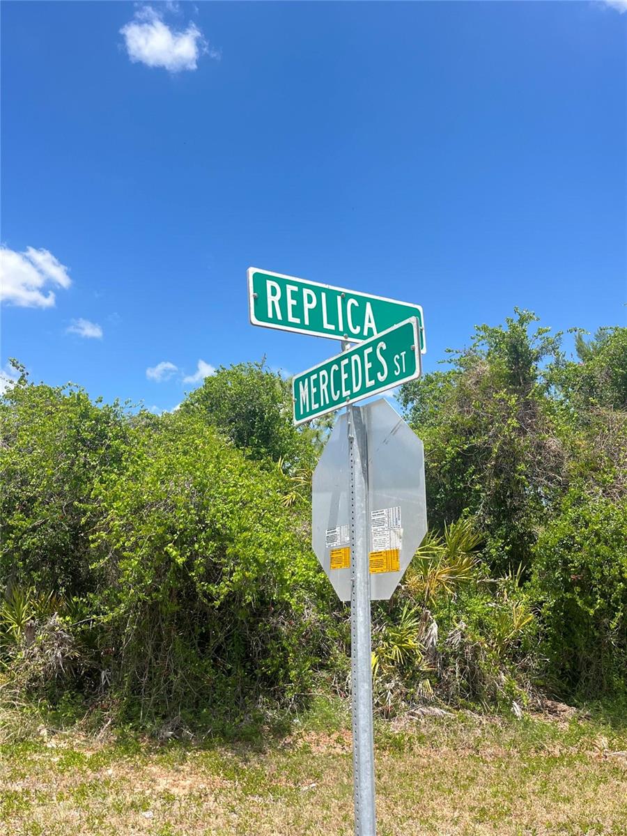 901 REPLICA AVE, SEBRING, FL, 33872