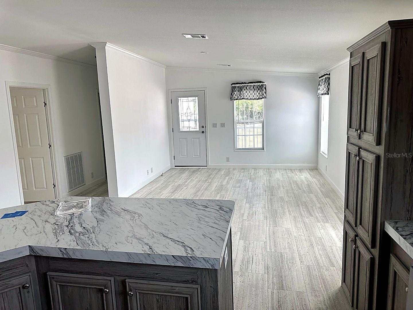 3492 GREENBLUFF RD #1119, ZELLWOOD, FL, 32798