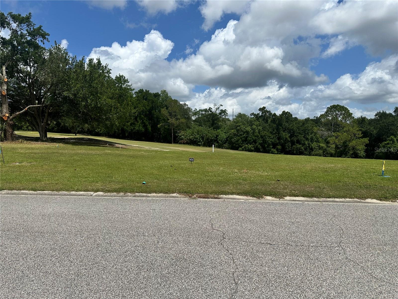 3951 GREENBLUFF RD #816, ZELLWOOD, FL, 32798