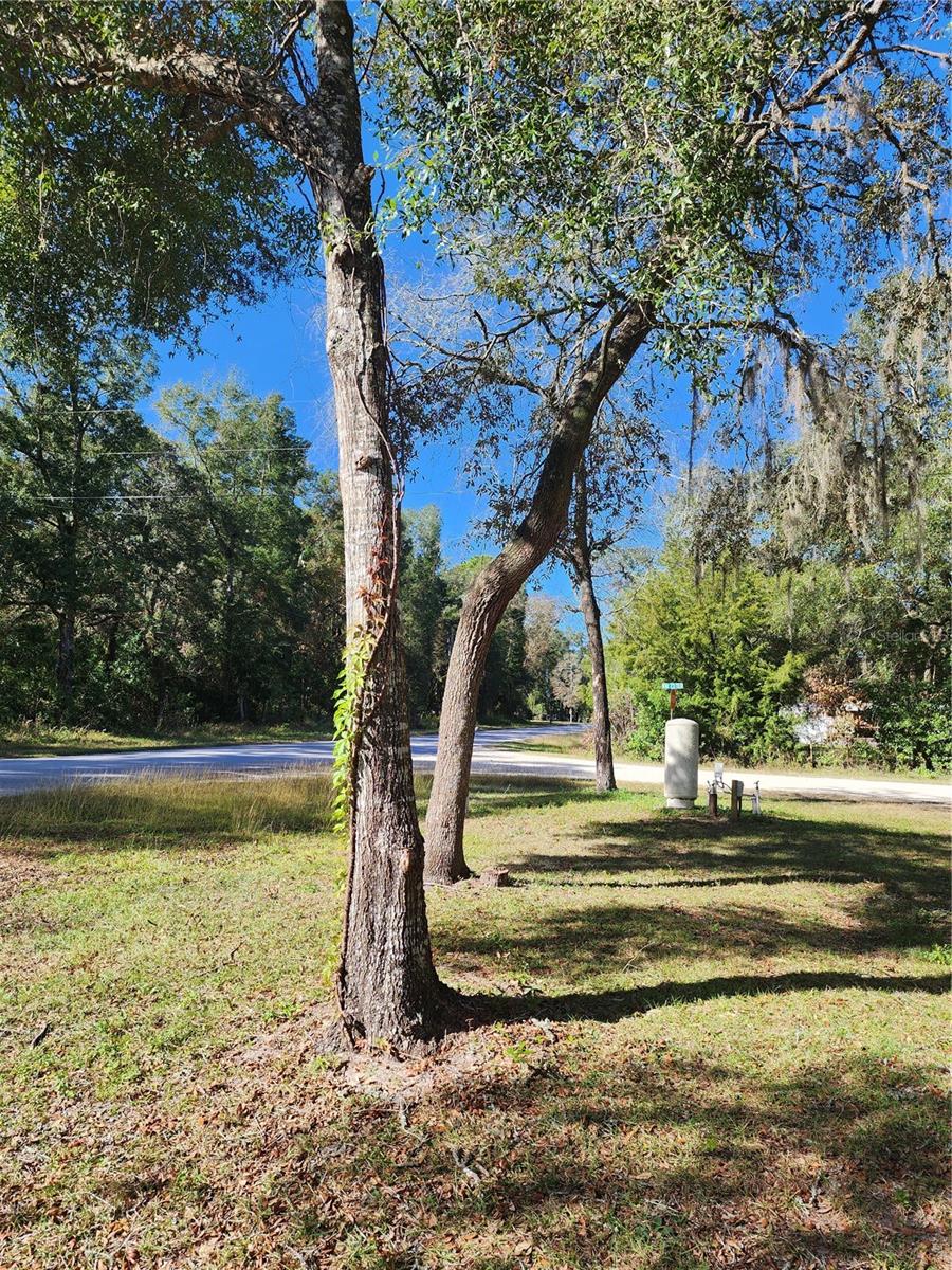 7351 NW 170TH ST, TRENTON, FL, 32693