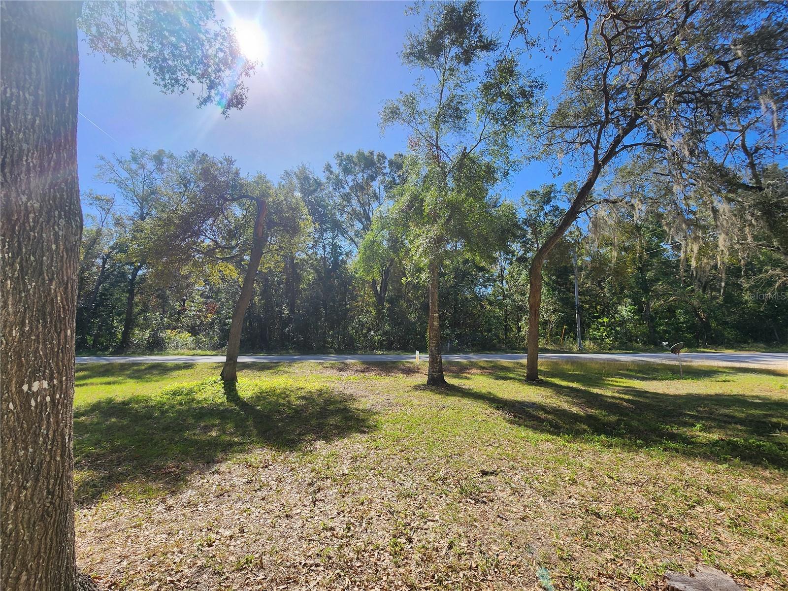 7351 NW 170TH ST, TRENTON, FL, 32693