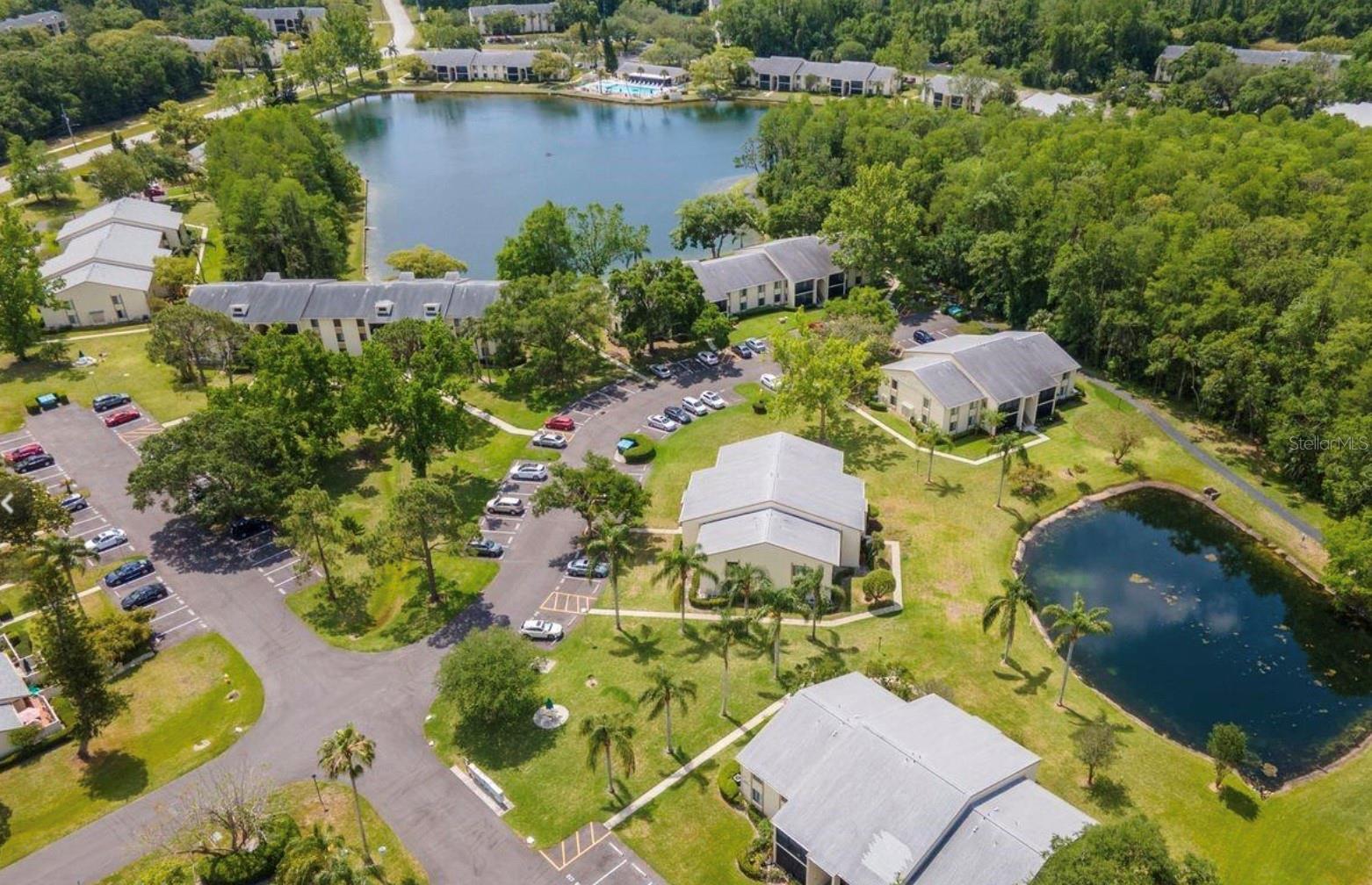 3211 LAKE PINE WAY E #A1, TARPON SPRINGS, FL, 34688