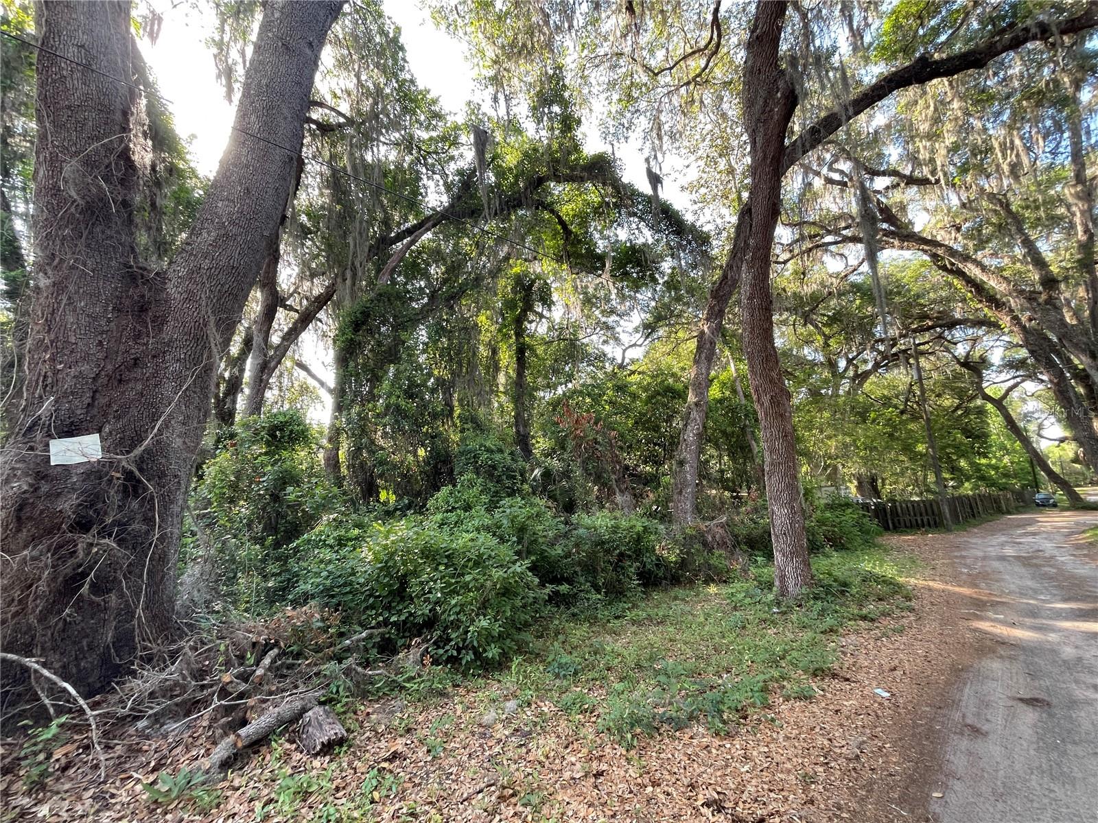 NE 37TH CT, CITRA, FL, 32113