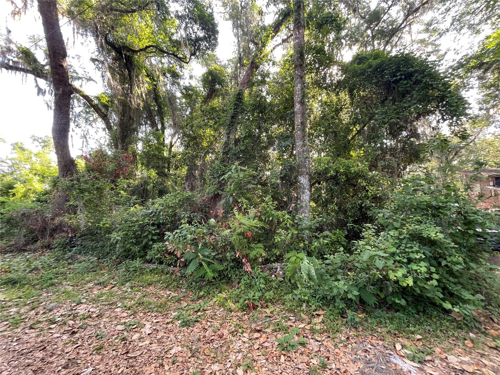 NE 37TH CT, CITRA, FL, 32113