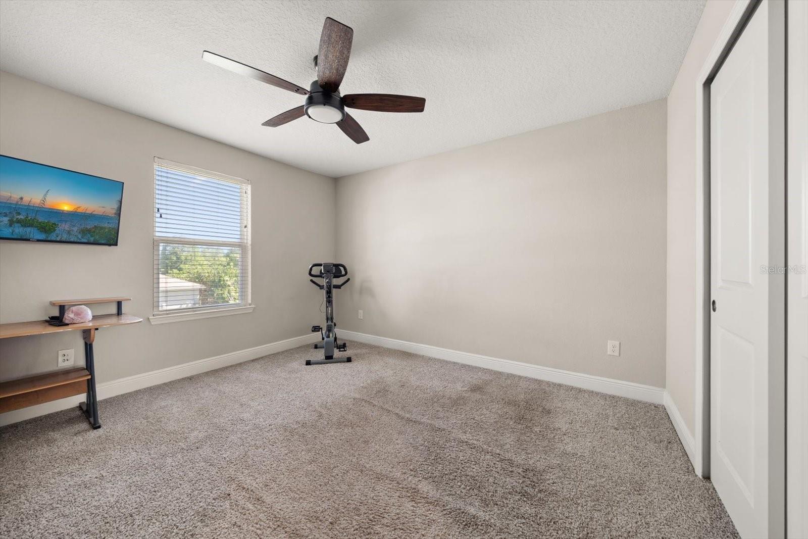 5299 NEIL DR, ST PETERSBURG, FL, 33714