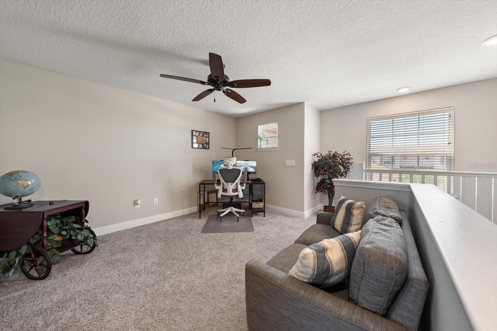 5299 NEIL DR, ST PETERSBURG, FL, 33714