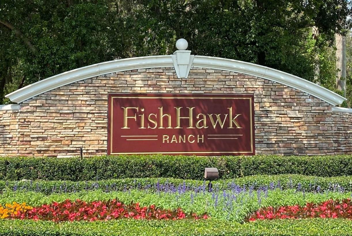 6006 SHEARWATER LN, LITHIA, FL, 33547