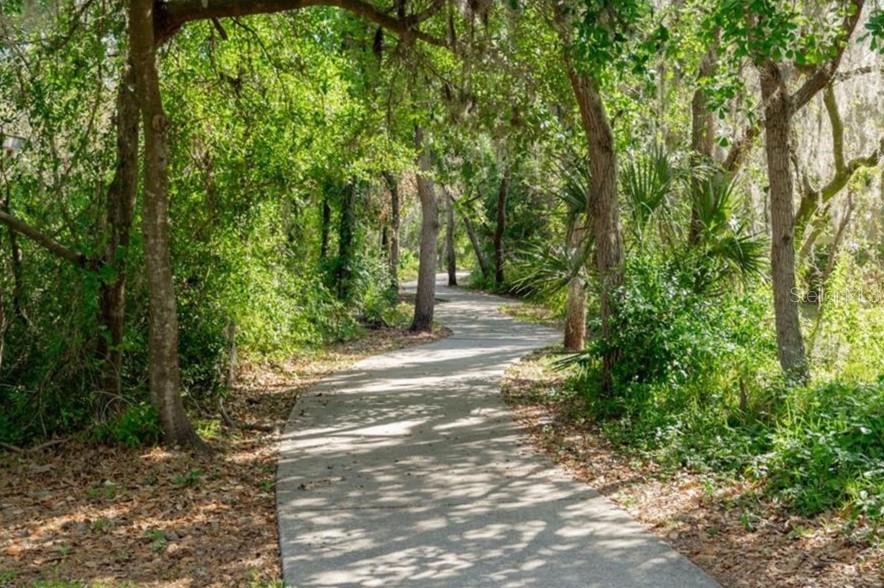 6006 SHEARWATER LN, LITHIA, FL, 33547