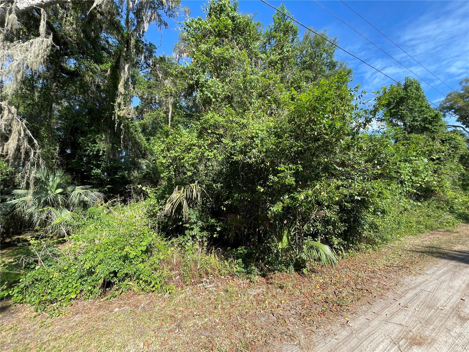 NE 37TH TER, CITRA, FL, 32113