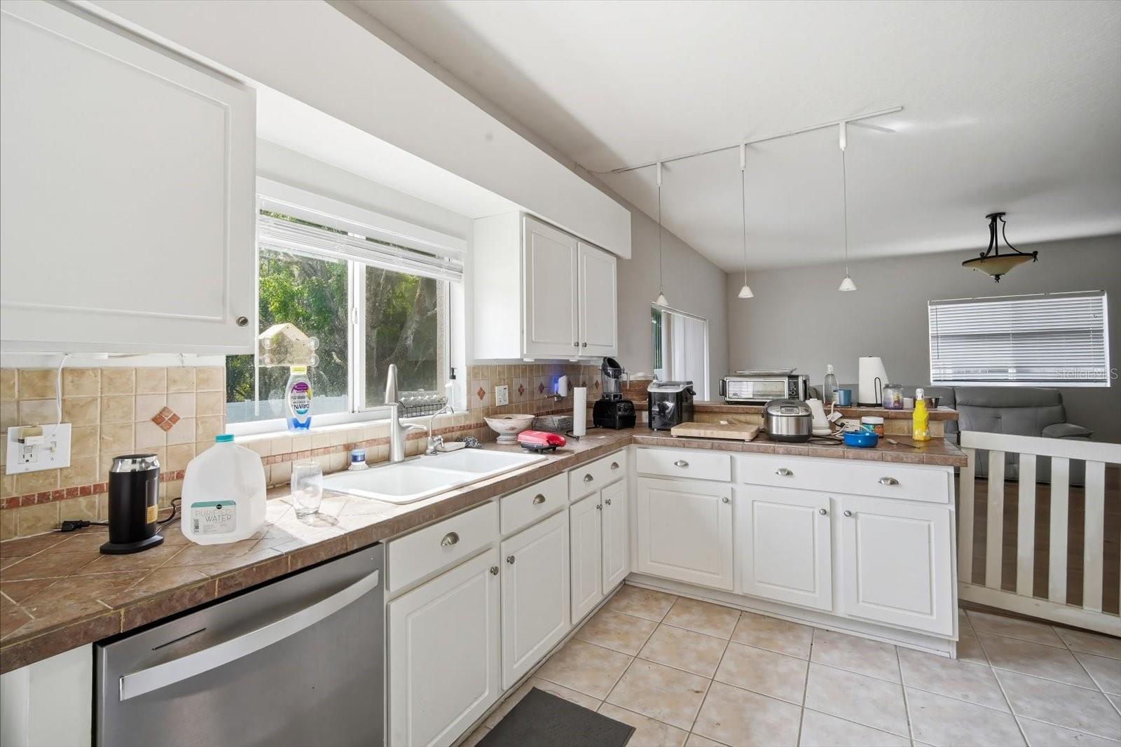 19321 SANDY SPRINGS CIR, LUTZ, FL, 33558