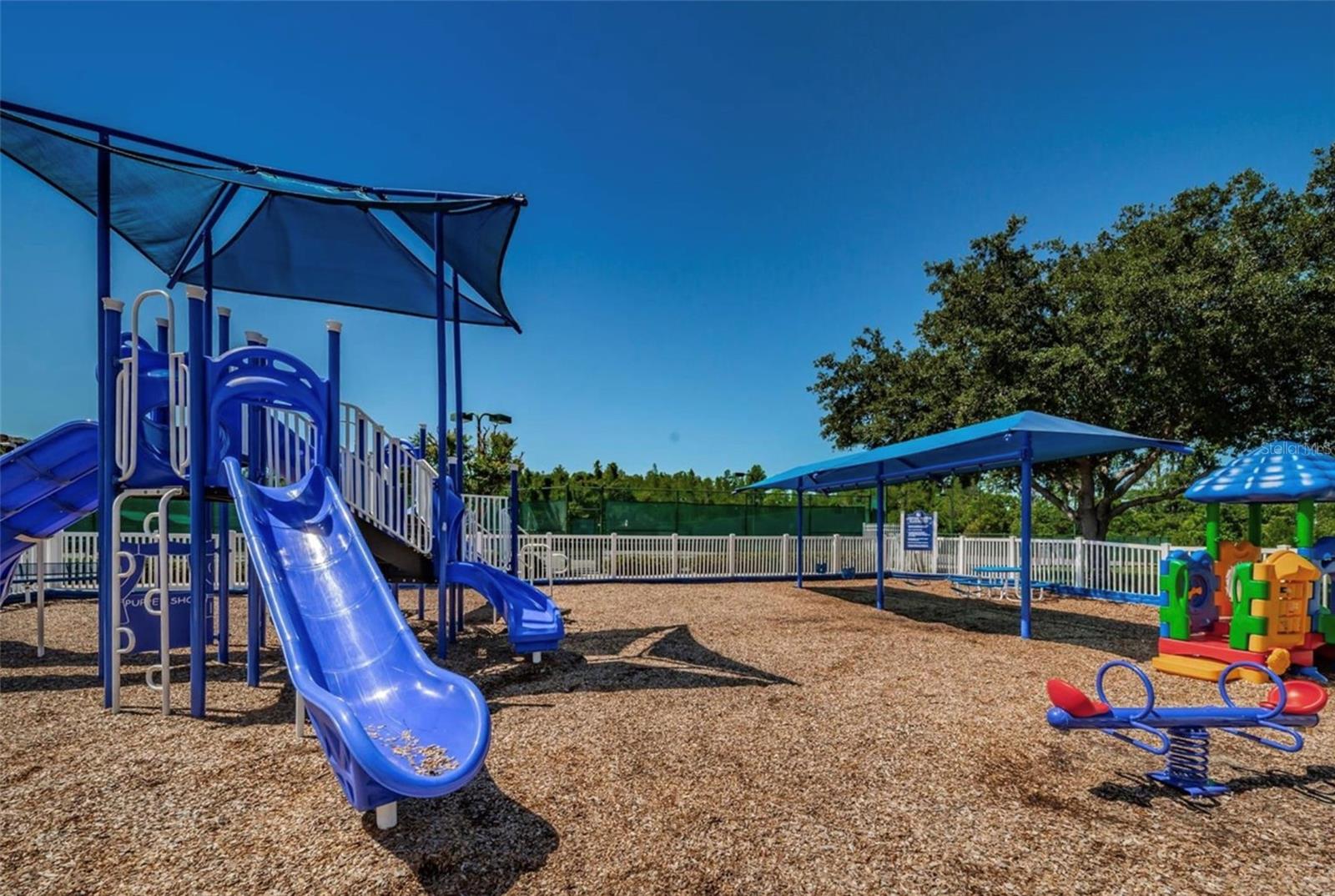 19321 SANDY SPRINGS CIR, LUTZ, FL, 33558