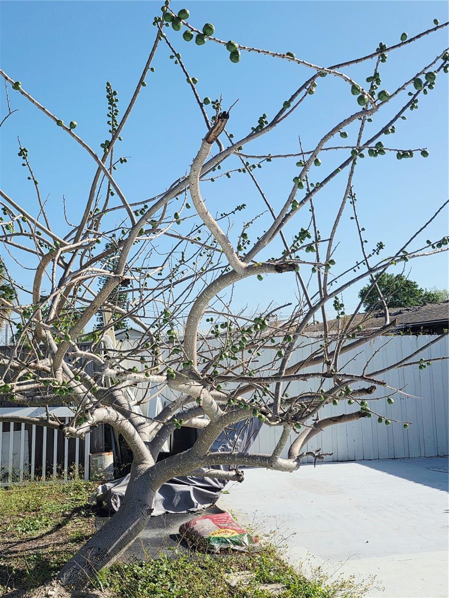 6316 FAIRWAY BLVD, APOLLO BEACH, FL, 33572