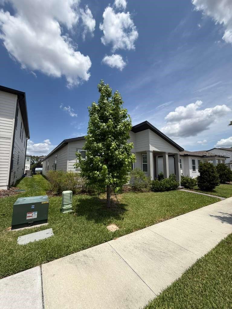 17007 SEVILLE ORANGE RD, WINTER GARDEN, FL, 34787