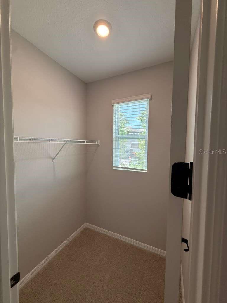 17007 SEVILLE ORANGE RD, WINTER GARDEN, FL, 34787
