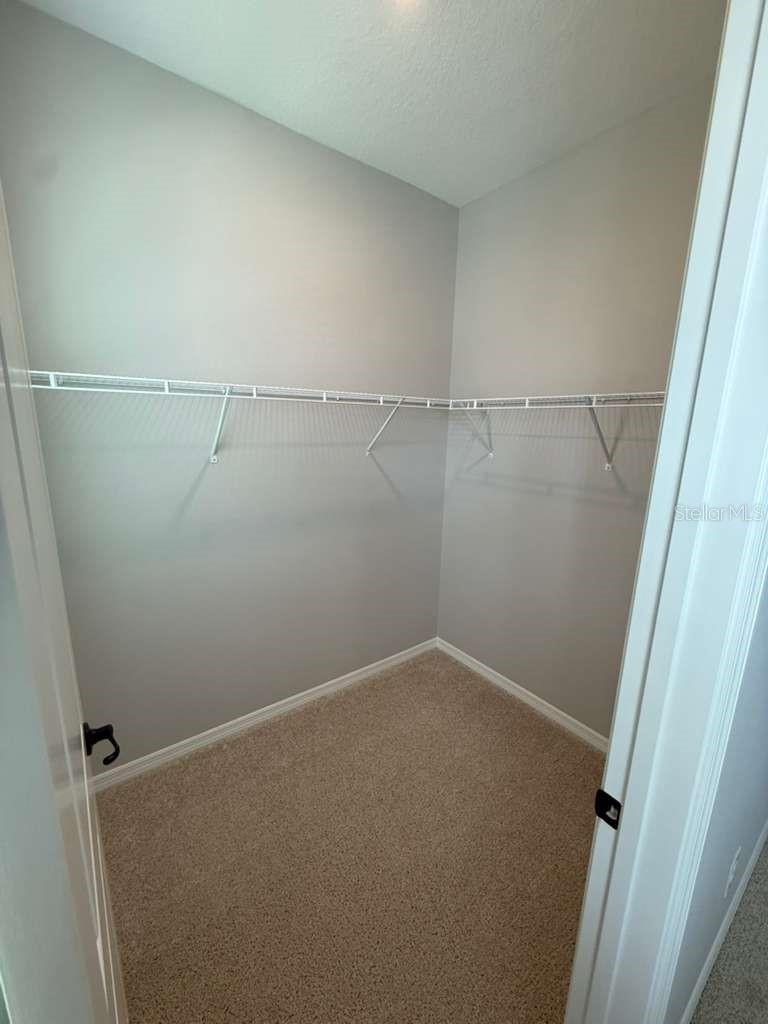17007 SEVILLE ORANGE RD, WINTER GARDEN, FL, 34787