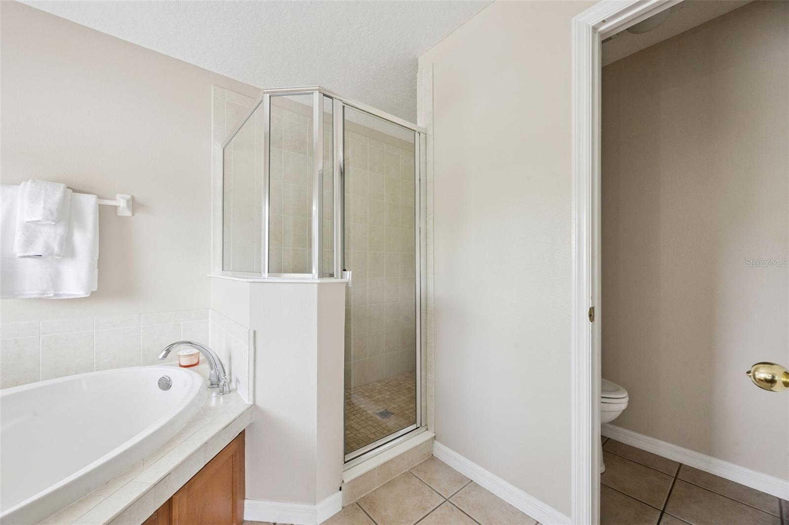 10227 SANDY MARSH LN, ORLANDO, FL, 32832