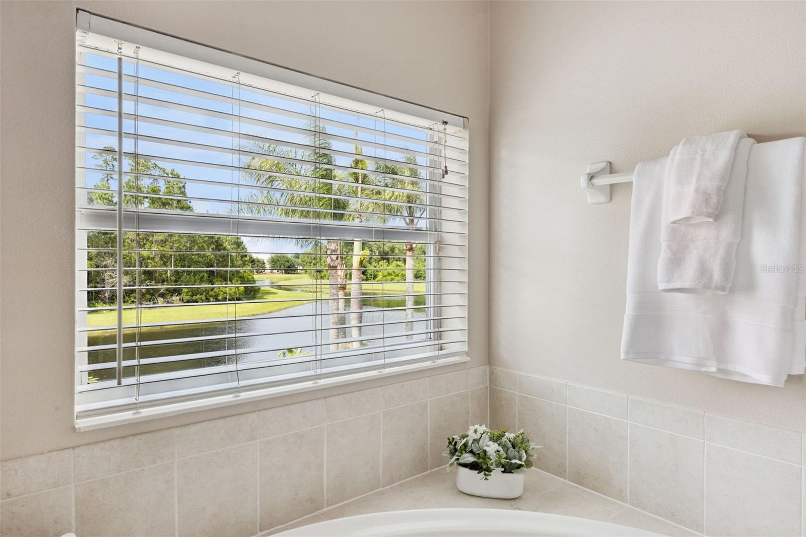 10227 SANDY MARSH LN, ORLANDO, FL, 32832