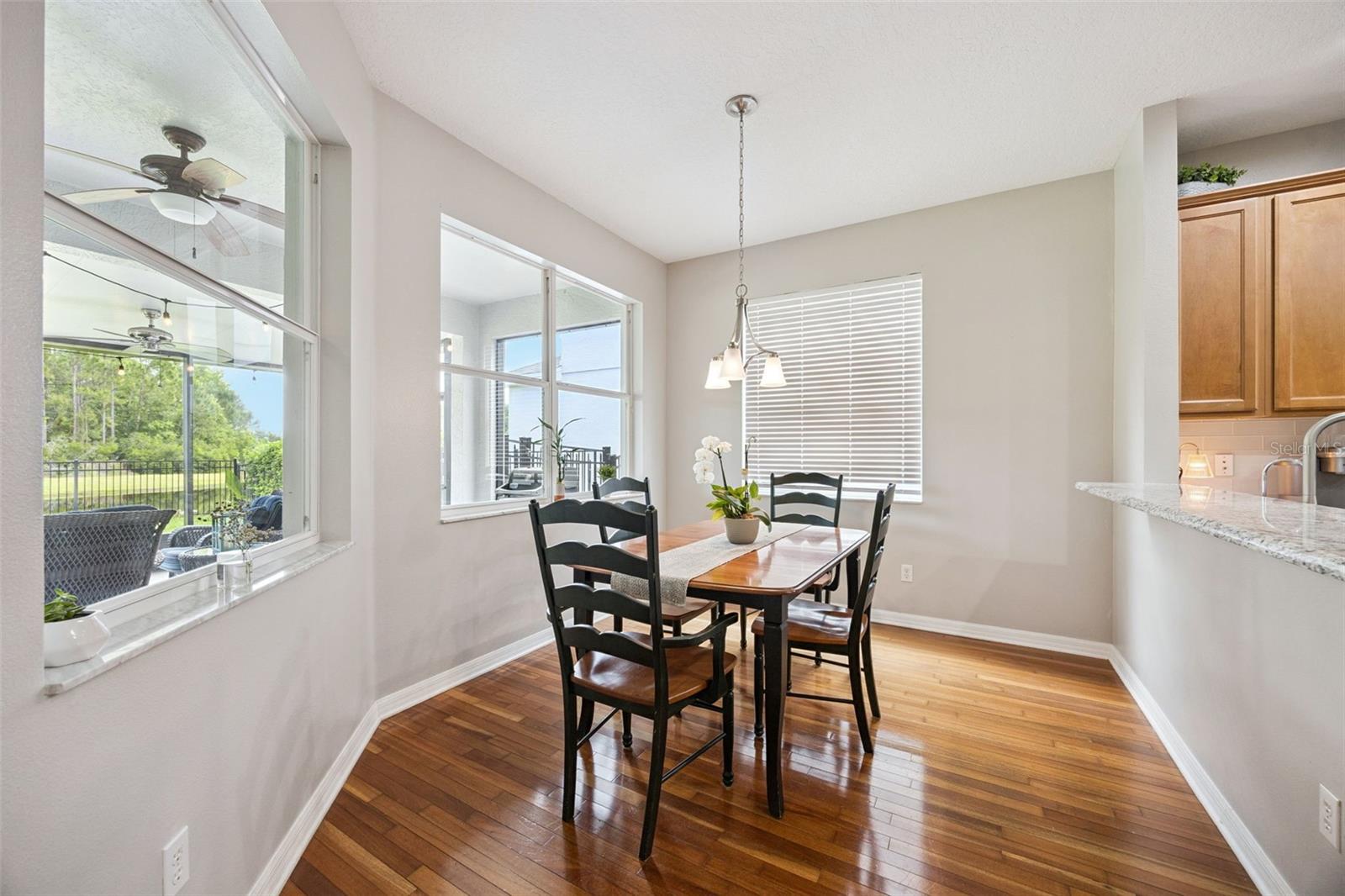 10227 SANDY MARSH LN, ORLANDO, FL, 32832