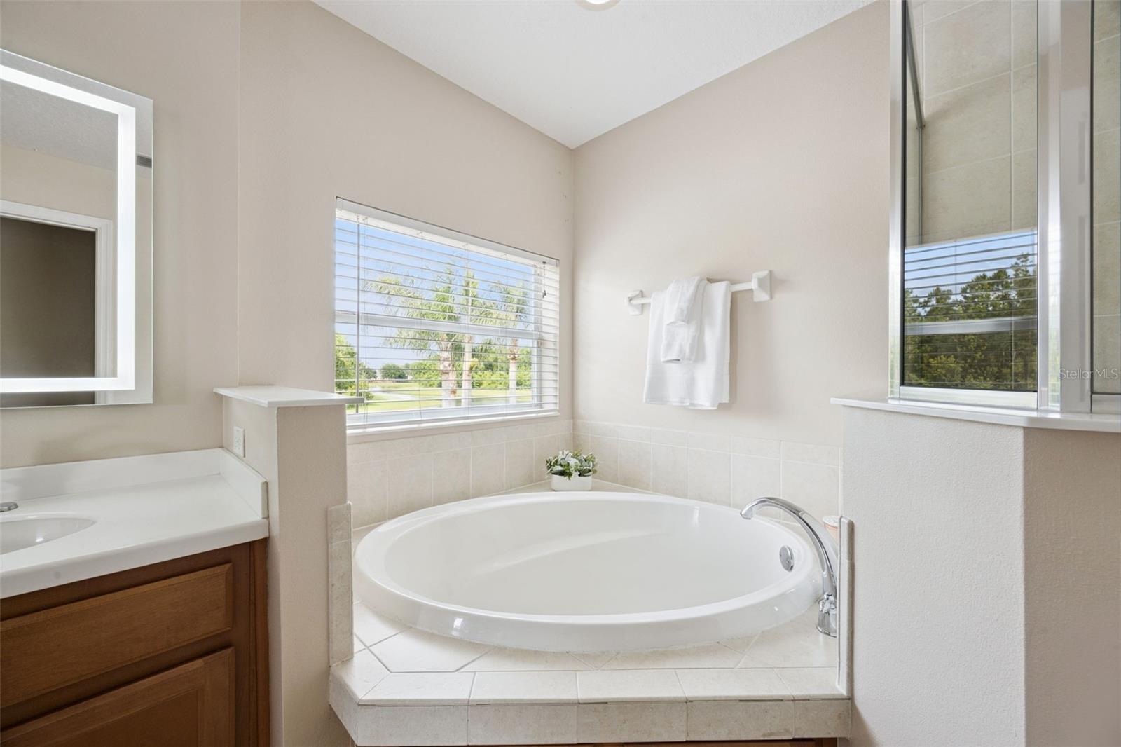 10227 SANDY MARSH LN, ORLANDO, FL, 32832