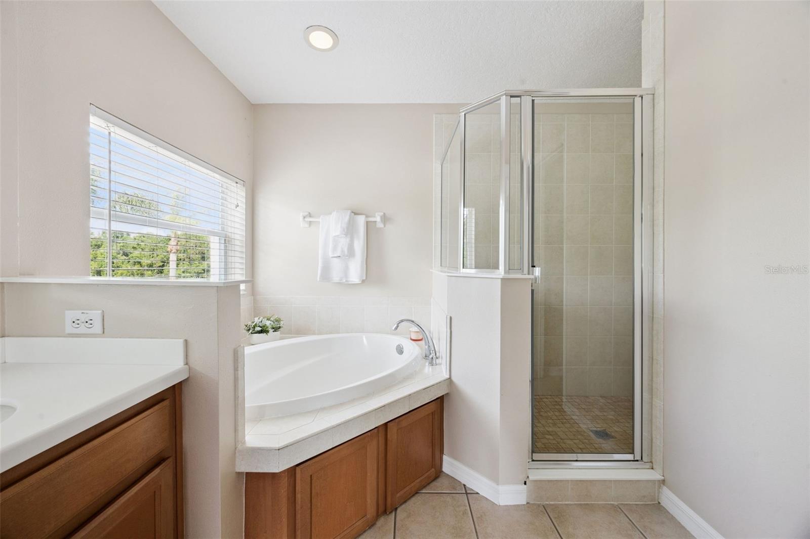 10227 SANDY MARSH LN, ORLANDO, FL, 32832