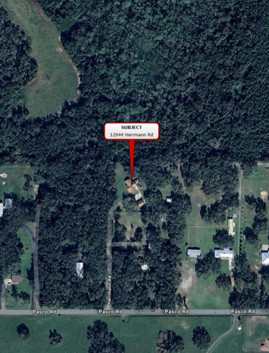 12944 HERRMANN RD, SAN ANTONIO, FL, 33576