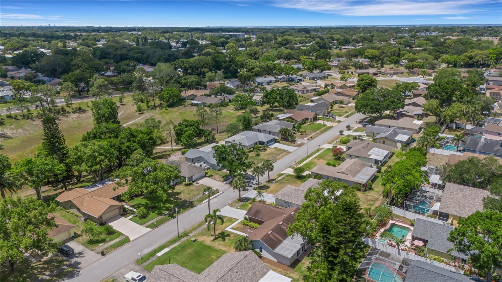 3147 E DORCHESTER DR, PALM HARBOR, FL, 34684