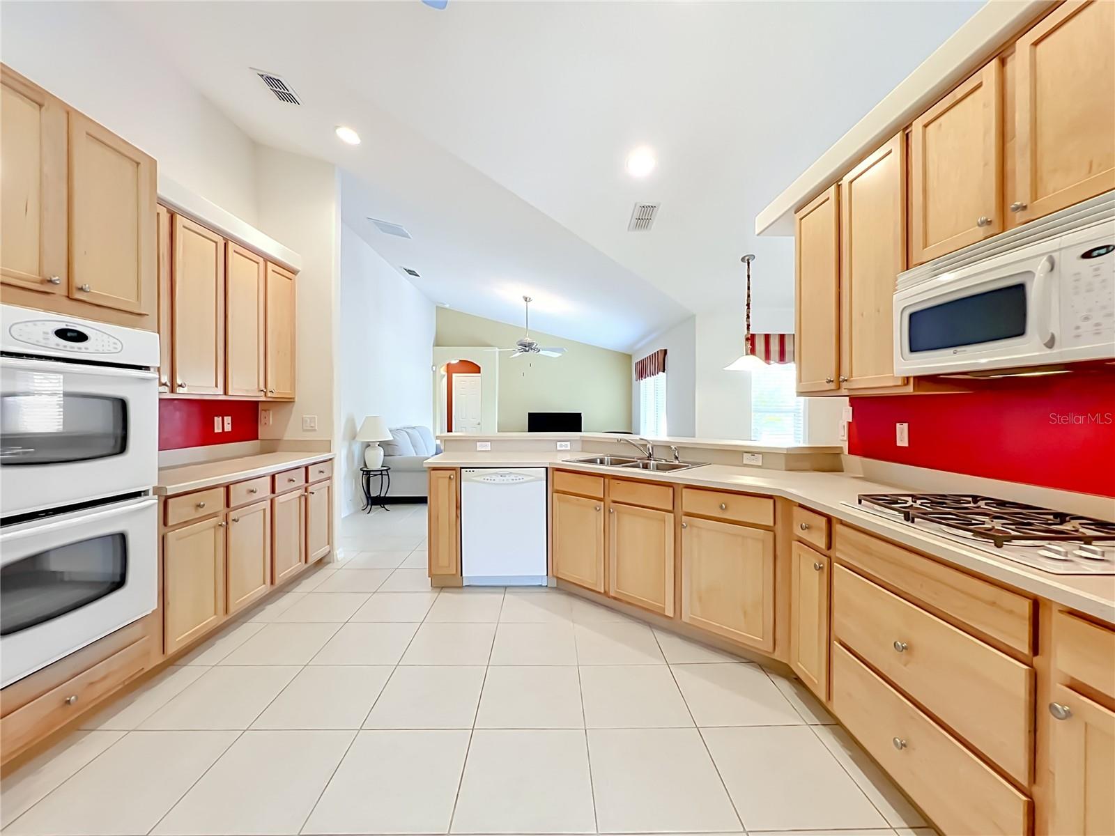 2505 HOLLY BERRY CIR, CLERMONT, FL, 34711