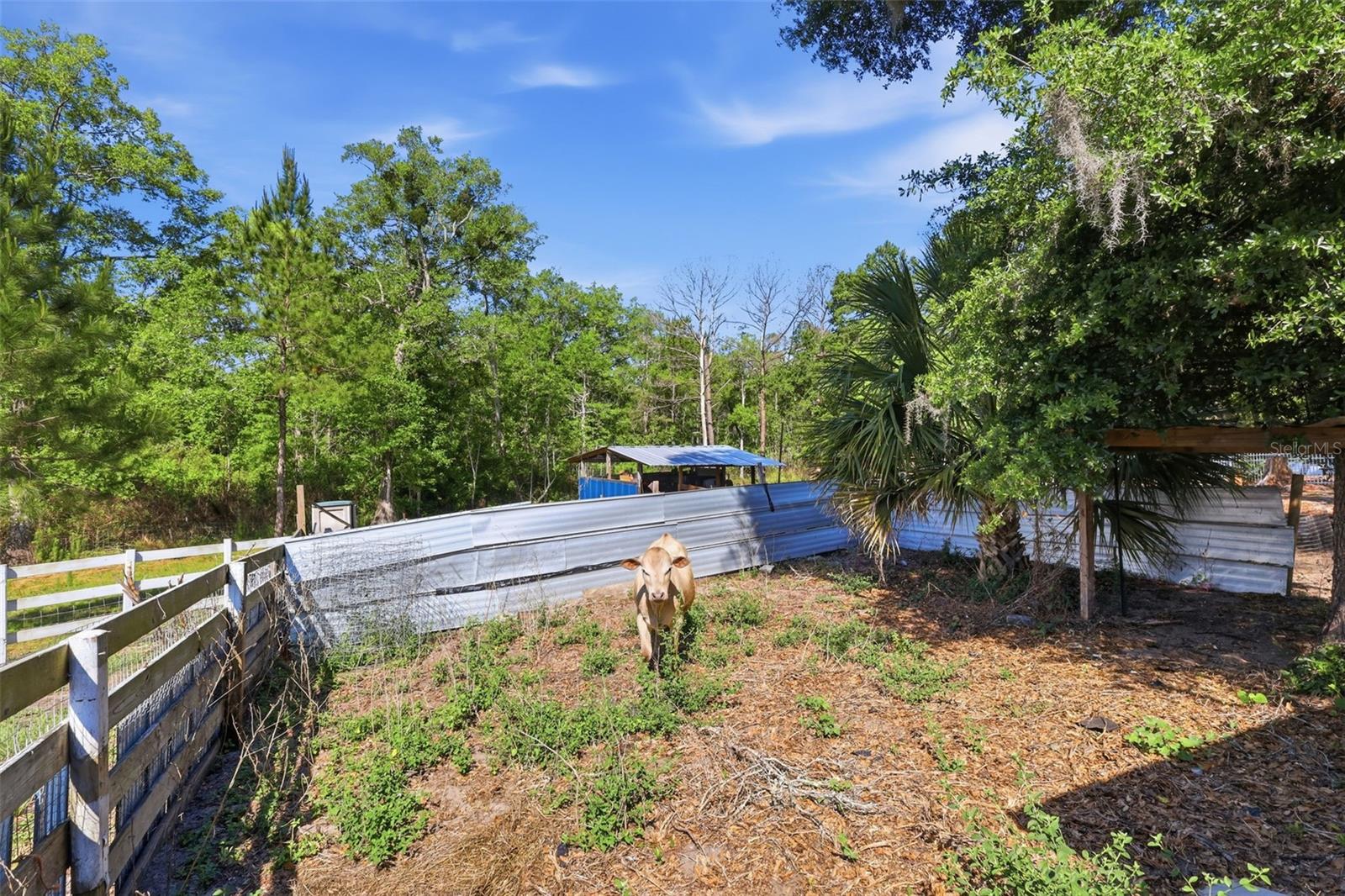 1898 BLACKWELDER RD, DE LEON SPRINGS, FL, 32130