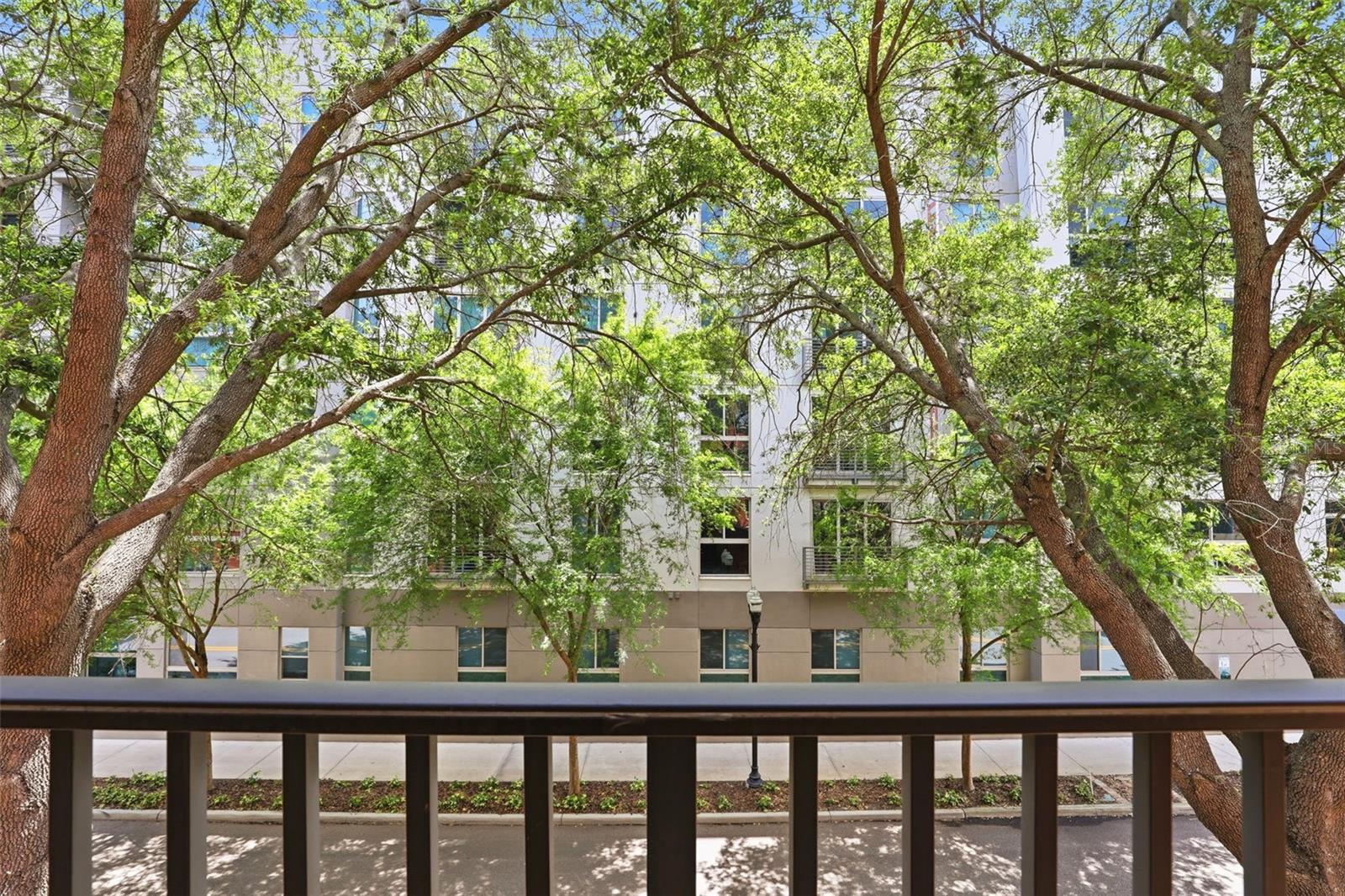 911 N ORANGE AVE #321, ORLANDO, FL, 32801