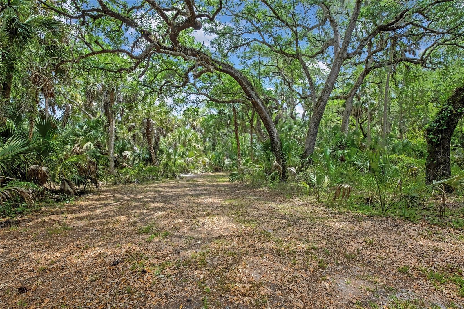 6699 N BROKEN ARROW TRL, HERNANDO, FL, 34442