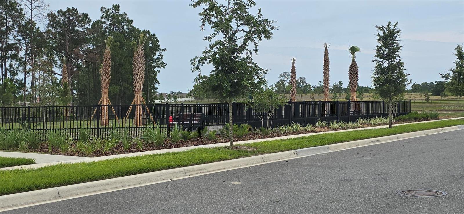 13552 AUTUMN HARVEST AVE, WINTER GARDEN, FL, 34787