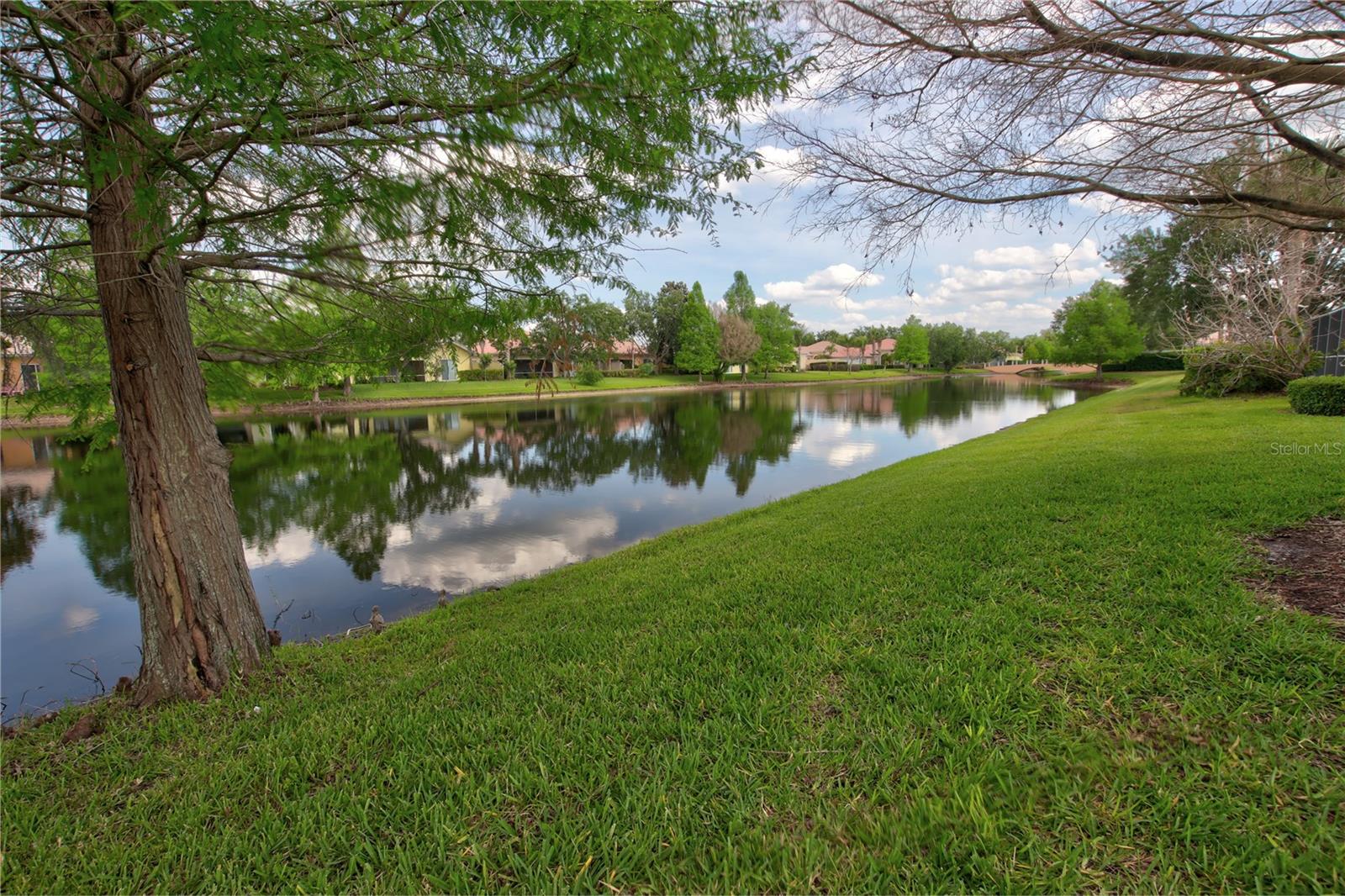 11801 FAN TAIL LN, ORLANDO, FL, 32827