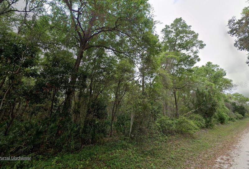 88 NE 463RD AVE, OLD TOWN, FL, 32680
