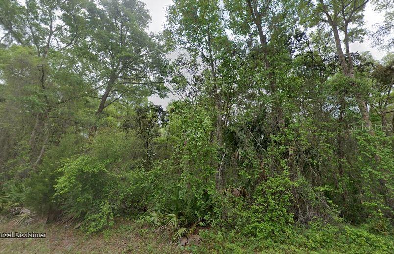 88 NE 463RD AVE, OLD TOWN, FL, 32680
