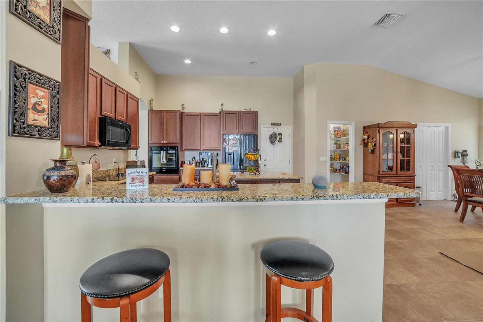 12309 LOOPBACK DR, SAN ANTONIO, FL, 33576
