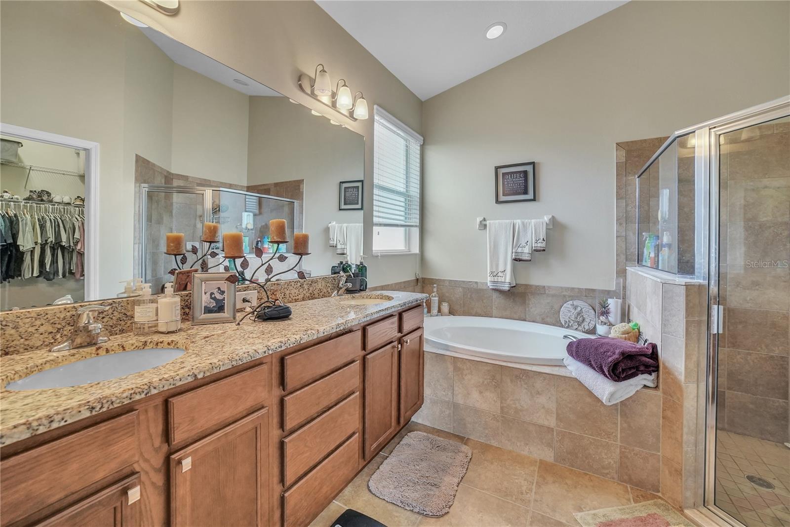 12309 LOOPBACK DR, SAN ANTONIO, FL, 33576