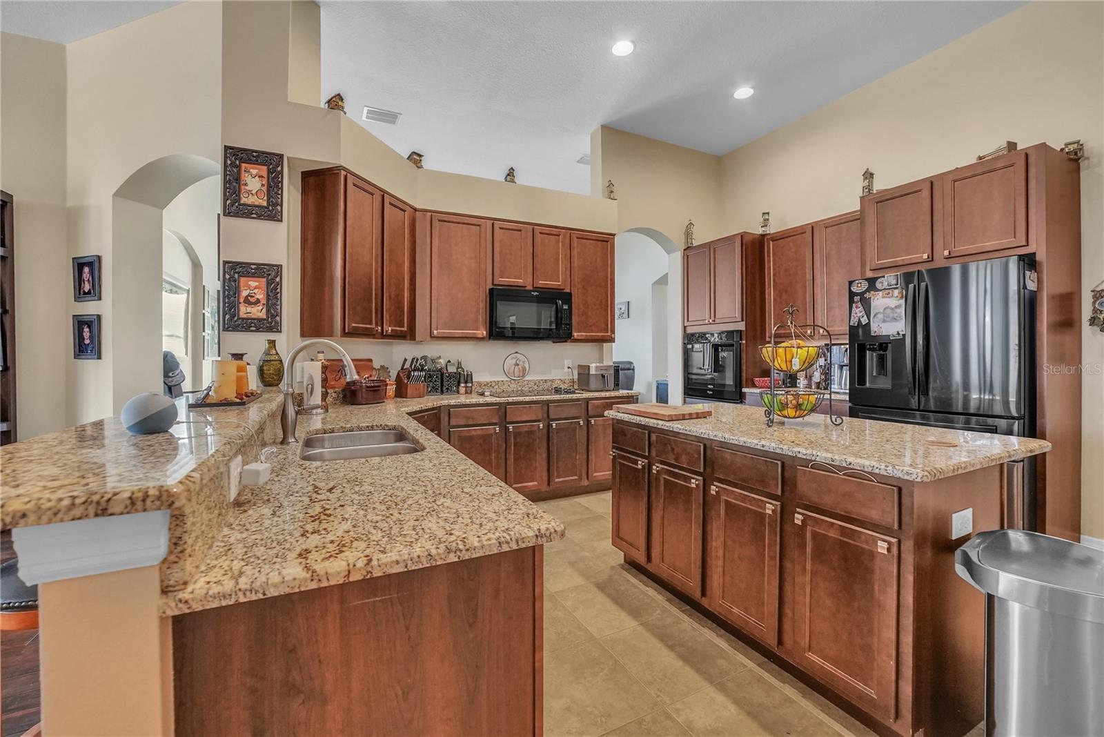 12309 LOOPBACK DR, SAN ANTONIO, FL, 33576
